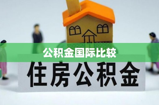 大厂公积金国际比较