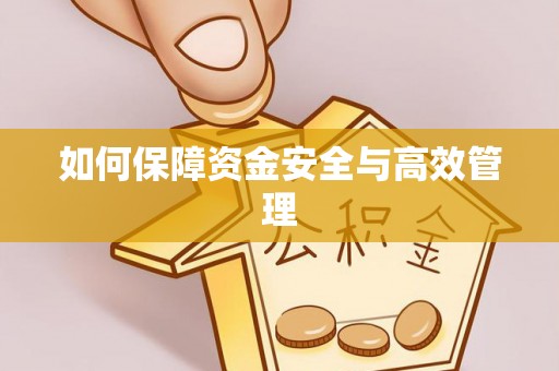 大厂如何保障资金安全与高效管理
