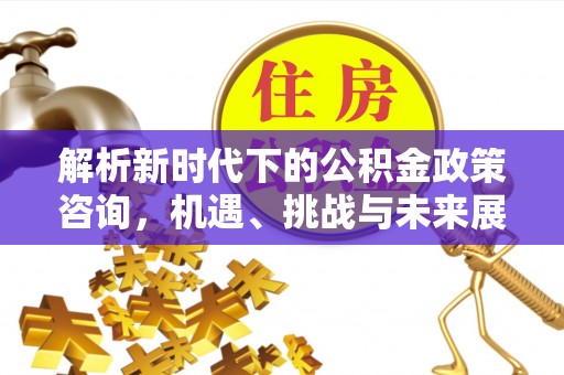 大厂解析新时代下的公积金政策咨询，机遇、挑战与未来展望