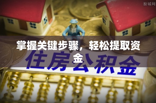 大厂掌握关键步骤，轻松提取资金