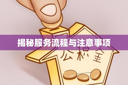 大厂揭秘服务流程与注意事项
