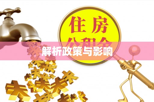 大厂解析政策与影响