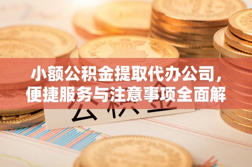 大厂小额公积金提取代办公司，便捷服务与注意事项全面解析