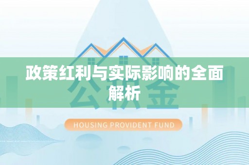 大厂政策红利与实际影响的全面解析