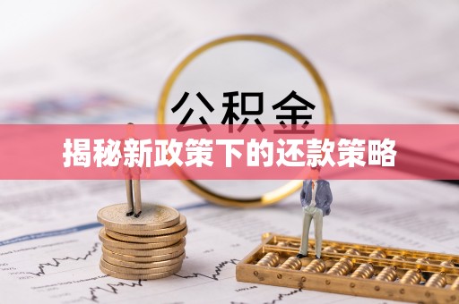 大厂揭秘新政策下的还款策略
