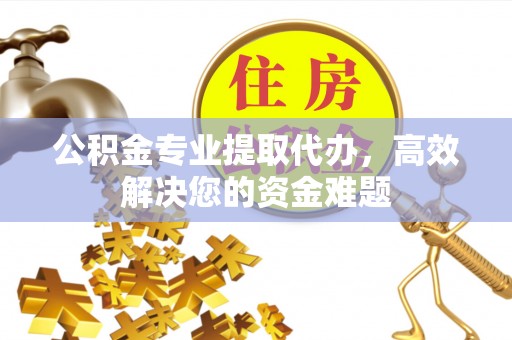 大厂公积金专业提取代办，高效解决您的资金难题