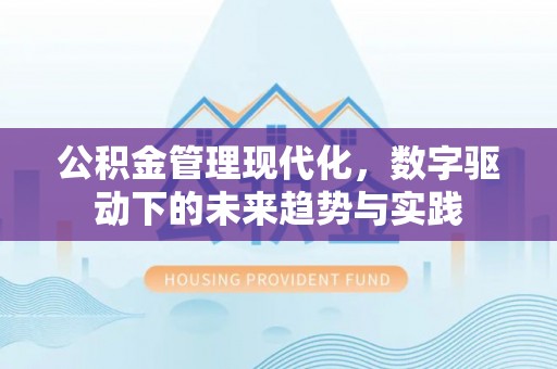 大厂公积金管理现代化，数字驱动下的未来趋势与实践