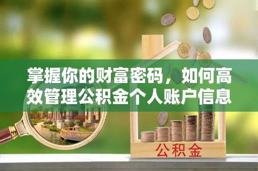 大厂掌握你的财富密码，如何高效管理公积金个人账户信息