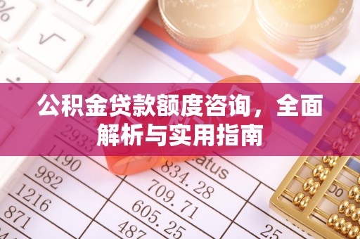 大厂公积金贷款额度咨询，全面解析与实用指南
