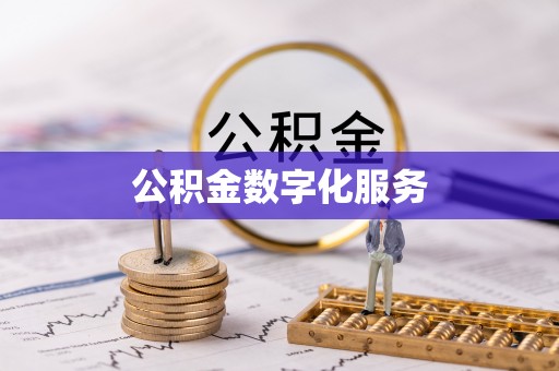 大厂公积金数字化服务