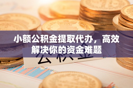 大厂小额公积金提取代办，高效解决你的资金难题