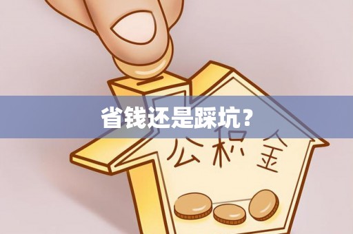 大厂省钱还是踩坑？