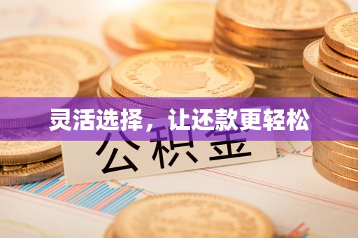 大厂灵活选择，让还款更轻松