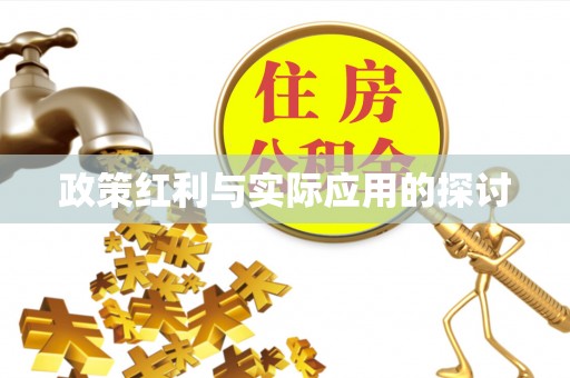 大厂政策红利与实际应用的探讨