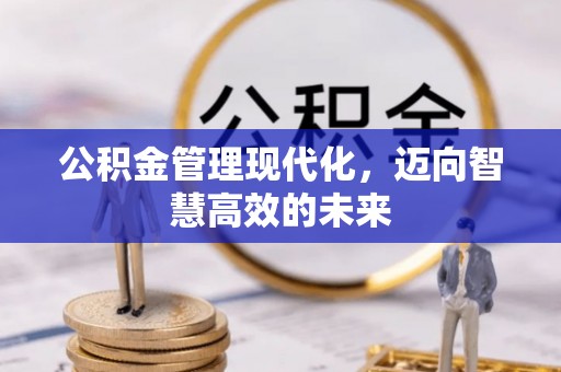 大厂公积金管理现代化，迈向智慧高效的未来