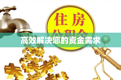 大厂高效解决您的资金需求