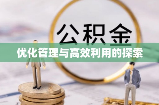 大厂优化管理与高效利用的探索