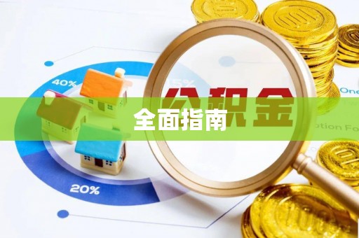 大厂全面指南