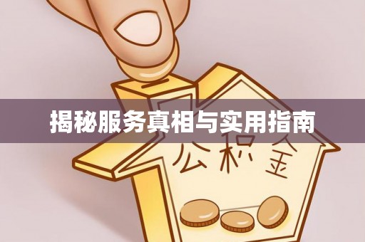 大厂揭秘服务真相与实用指南