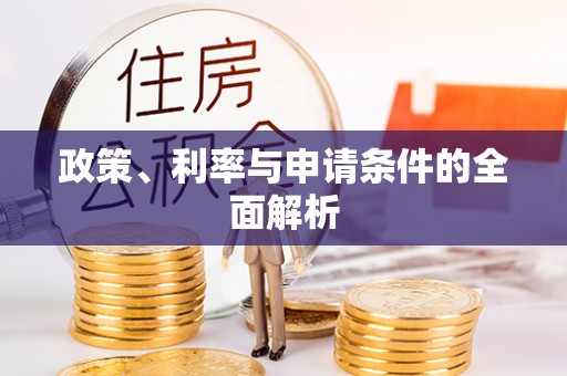 大厂政策、利率与申请条件的全面解析