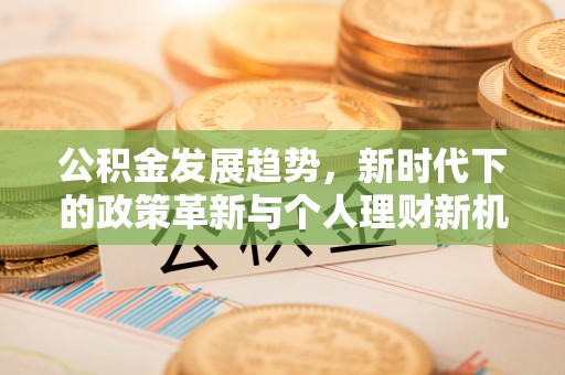 大厂公积金发展趋势，新时代下的政策革新与个人理财新机遇