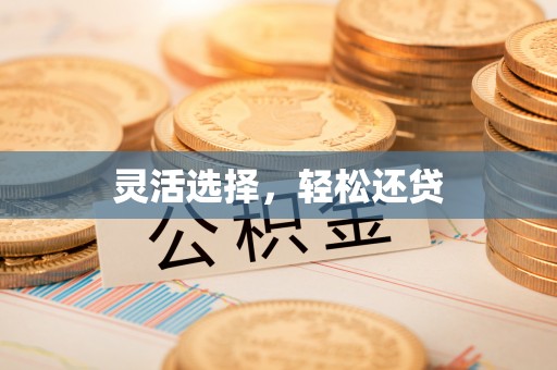 大厂灵活选择，轻松还贷