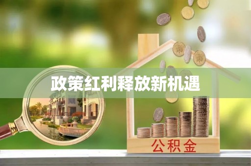 大厂政策红利释放新机遇