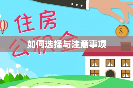 大厂如何选择与注意事项