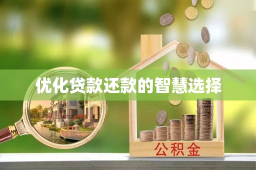 大厂优化贷款还款的智慧选择