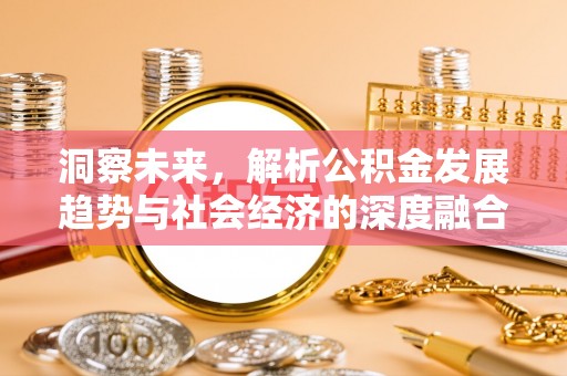 大厂洞察未来，解析公积金发展趋势与社会经济的深度融合