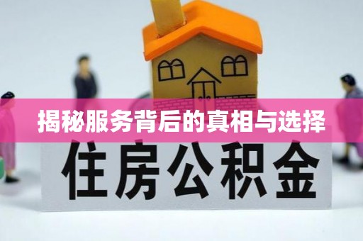 大厂揭秘服务背后的真相与选择