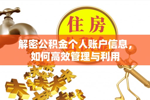 大厂解密公积金个人账户信息，如何高效管理与利用