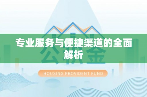 大厂专业服务与便捷渠道的全面解析