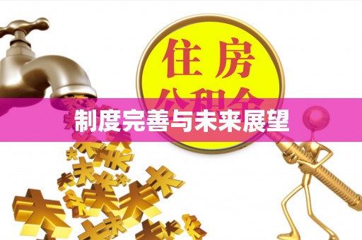 大厂制度完善与未来展望