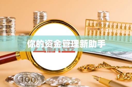 大厂你的资金管理新助手
