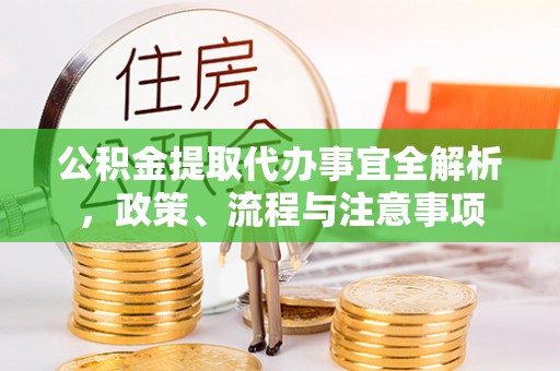 大厂公积金提取代办事宜全解析，政策、流程与注意事项