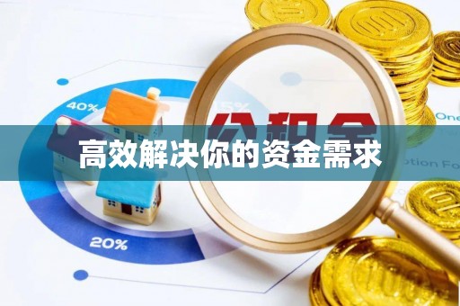 大厂高效解决你的资金需求