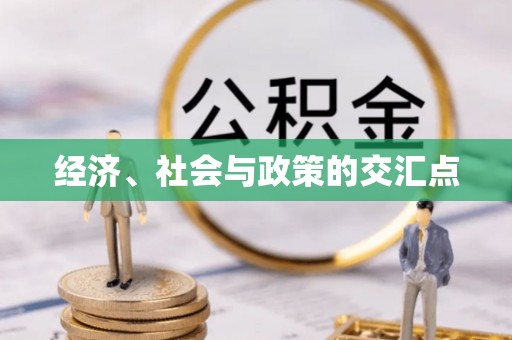 大厂经济、社会与政策的交汇点