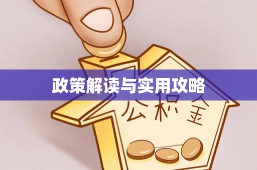 大厂政策解读与实用攻略