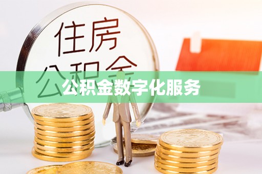 大厂公积金数字化服务
