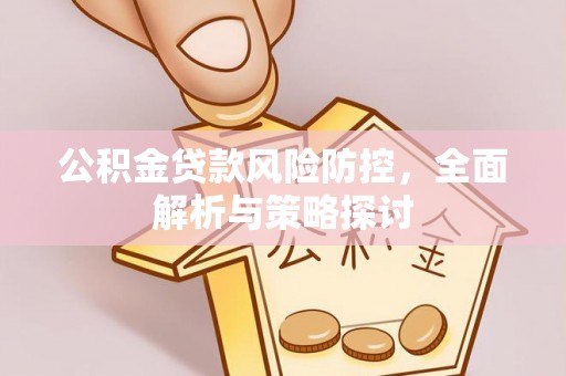 大厂公积金贷款风险防控，全面解析与策略探讨