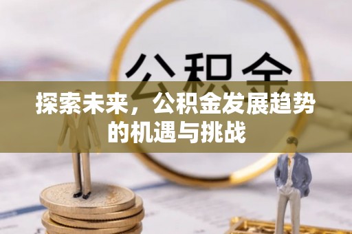 大厂探索未来，公积金发展趋势的机遇与挑战