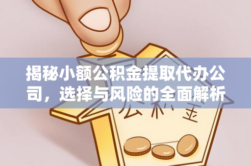 大厂揭秘小额公积金提取代办公司，选择与风险的全面解析