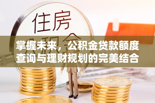大厂掌握未来，公积金贷款额度查询与理财规划的完美结合