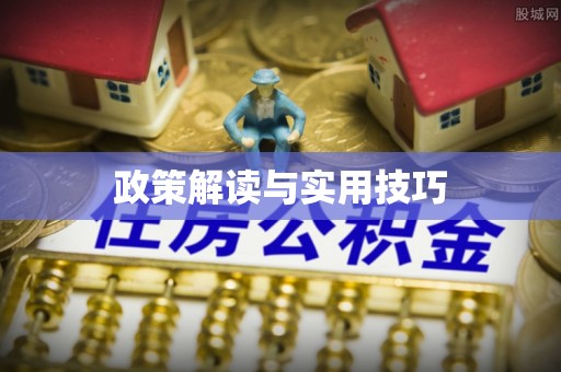 大厂政策解读与实用技巧