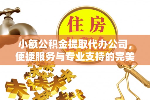 大厂小额公积金提取代办公司，便捷服务与专业支持的完美结合