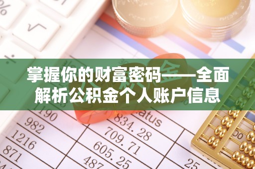 大厂掌握你的财富密码——全面解析公积金个人账户信息