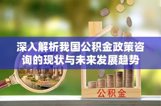 大厂深入解析我国公积金政策咨询的现状与未来发展趋势
