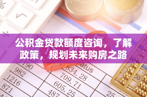 大厂公积金贷款额度咨询，了解政策，规划未来购房之路