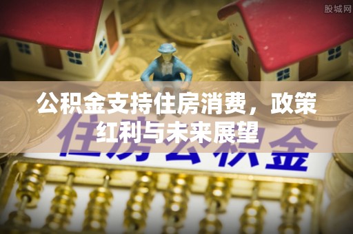 大厂公积金支持住房消费，政策红利与未来展望